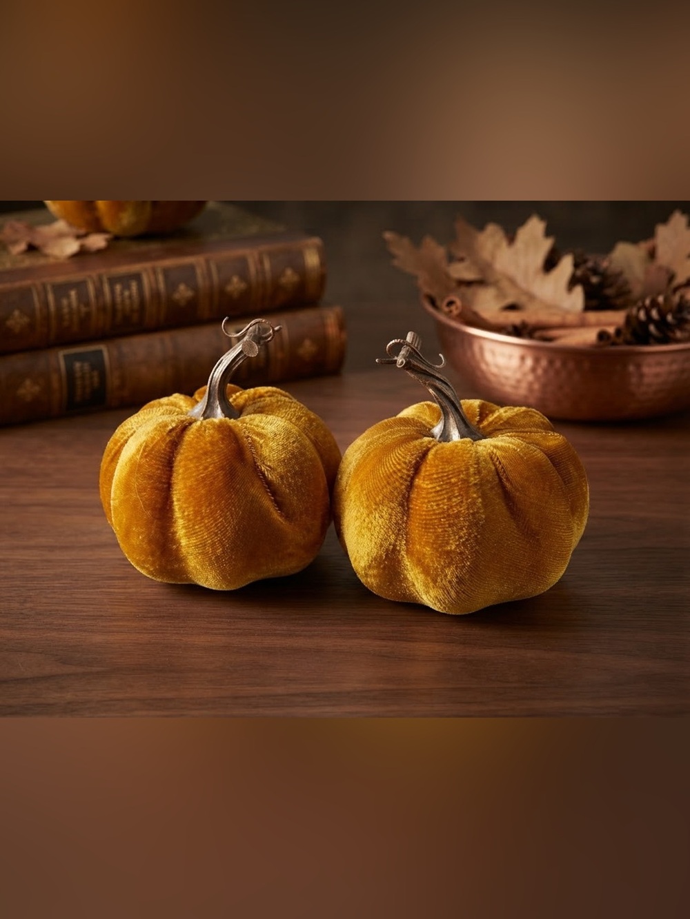 Velvet Pumpkin Decor Set NWOT